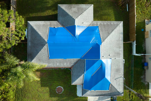Professional Roofing Service in Rising Sun, IN