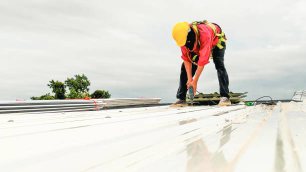 Best Solar Panel Roofing Installation  in Risg Sun, IN