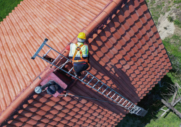 Best Roof Moss and Algae Removal  in Risg Sun, IN
