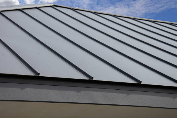 Best Roof Leak Repair  in Risg Sun, IN